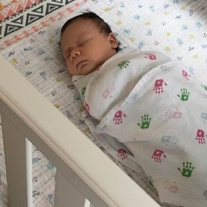 Meet your Posher, Shelley